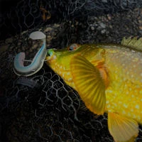 Westin Sandy Andy Weedless Jigs